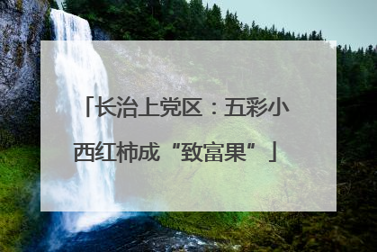 长治上党区：五彩小西红柿成“致富果”
