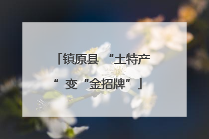 镇原县 “土特产”变“金招牌”