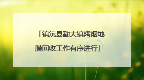 镇沅县勐大镇烤烟地膜回收工作有序进行