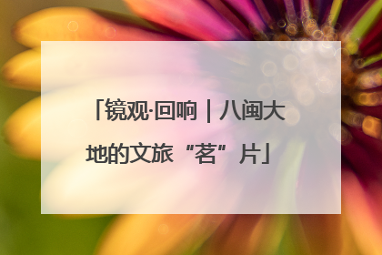 镜观·回响｜八闽大地的文旅“茗”片