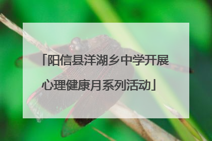 阳信县洋湖乡中学开展心理健康月系列活动
