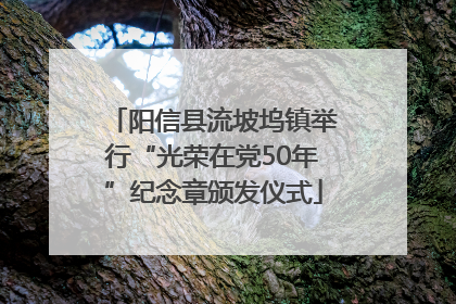 阳信县流坡坞镇举行“光荣在党50年”纪念章颁发仪式