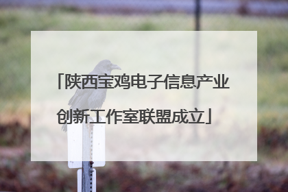 陕西宝鸡电子信息产业创新工作室联盟成立