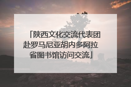 陕西文化交流代表团赴罗马尼亚胡内多阿拉省图书馆访问交流