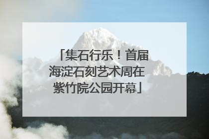 集石行乐！首届海淀石刻艺术周在紫竹院公园开幕
