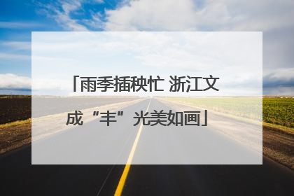 雨季插秧忙 浙江文成“丰”光美如画