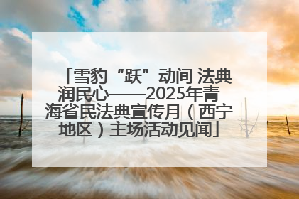 雪豹“跃”动间 法典润民心——2025年青海省民法典宣传月（西宁地区）主场活动见闻