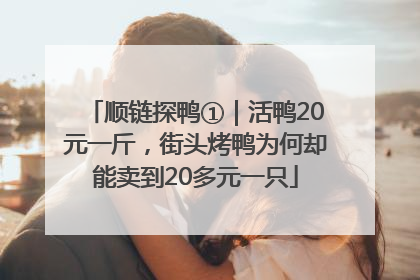顺链探鸭①｜活鸭20元一斤，街头烤鸭为何却能卖到20多元一只
