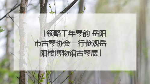 领略千年琴韵 岳阳市古琴协会一行参观岳阳楼博物馆古琴展