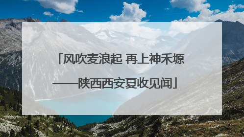 风吹麦浪起 再上神禾塬——陕西西安夏收见闻