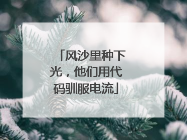 风沙里种下光，他们用代码驯服电流