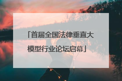 首届全国法律垂直大模型行业论坛启幕