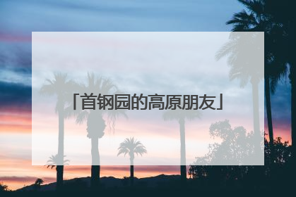 首钢园的高原朋友