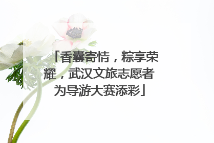 香囊寄情，粽享荣耀，武汉文旅志愿者为导游大赛添彩