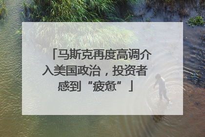 马斯克再度高调介入美国政治，投资者感到“疲惫”
