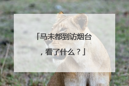 马未都到访烟台，看了什么？
