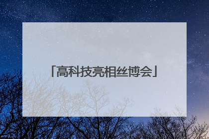 高科技亮相丝博会