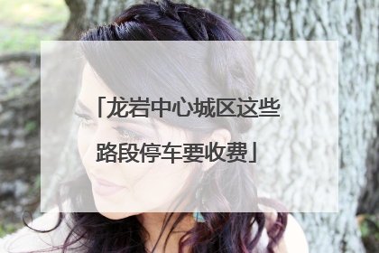 龙岩中心城区这些路段停车要收费