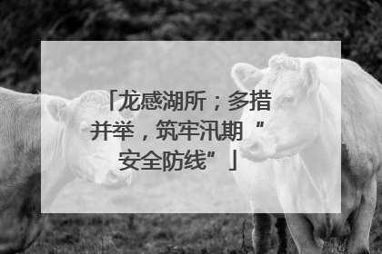 龙感湖所；多措并举，筑牢汛期“安全防线”