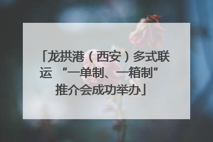 龙拱港（西安）多式联运 “一单制、一箱制” 推介会成功举办