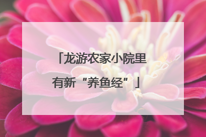 龙游农家小院里有新“养鱼经”