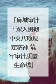 麻城审计：深入贯彻中央八项规定精神 筑牢审计质量生命线