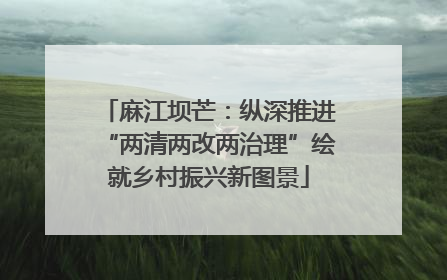 麻江坝芒：纵深推进“两清两改两治理”绘就乡村振兴新图景