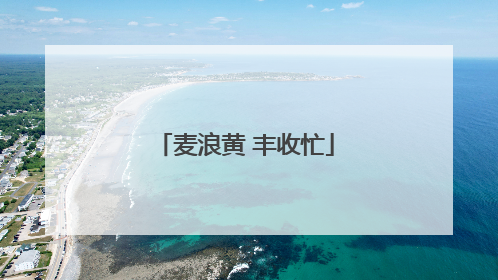 麦浪黄 丰收忙