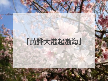 黄骅大港起渤海