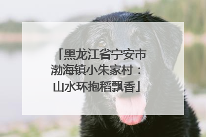 黑龙江省宁安市渤海镇小朱家村：山水环抱稻飘香