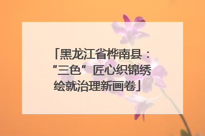 黑龙江省桦南县：“三色”匠心织锦绣 绘就治理新画卷