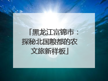 黑龙江富锦市：探秘北国粮都的农文旅新样板