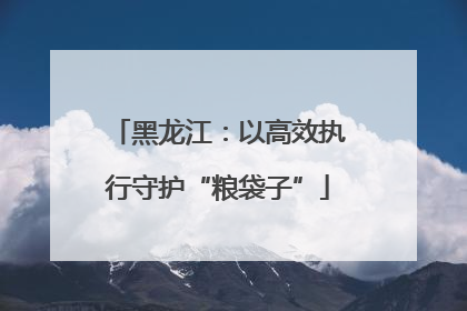 黑龙江：以高效执行守护“粮袋子”