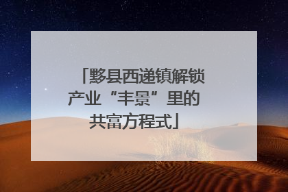 黟县西递镇解锁产业“丰景”里的共富方程式