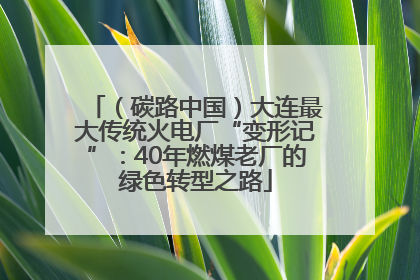 （碳路中国）大连最大传统火电厂“变形记”：40年燃煤老厂的绿色转型之路