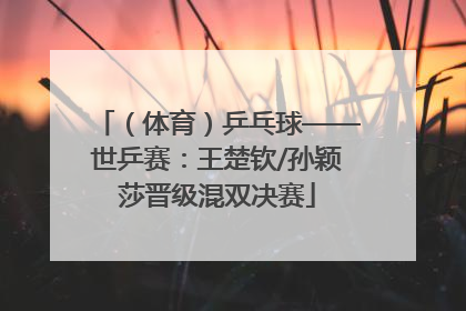 （体育）乒乓球——世乒赛：王楚钦/孙颖莎晋级混双决赛