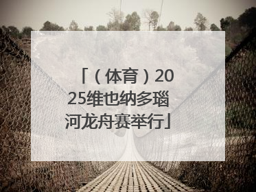 （体育）2025维也纳多瑙河龙舟赛举行