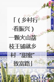 （乡村行·看振兴）一颗火山荔枝王铺就乡村“甜蜜”致富路