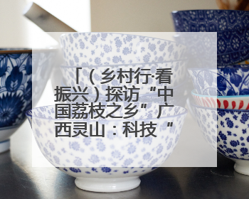 （乡村行·看振兴）探访“中国荔枝之乡”广西灵山：科技“鲜”行 实“荔”C位