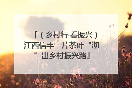 （乡村行·看振兴）江西信丰一片茶叶“沏”出乡村振兴路