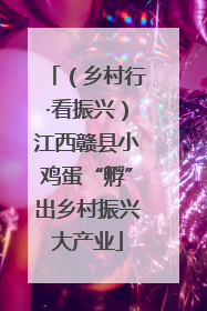 （乡村行·看振兴）江西赣县小鸡蛋“孵”出乡村振兴大产业