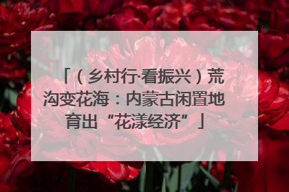 （乡村行·看振兴）荒沟变花海：内蒙古闲置地育出“花漾经济”
