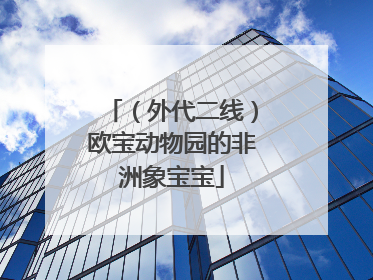 （外代二线）欧宝动物园的非洲象宝宝