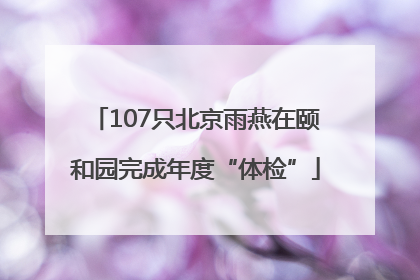 107只北京雨燕在颐和园完成年度“体检”