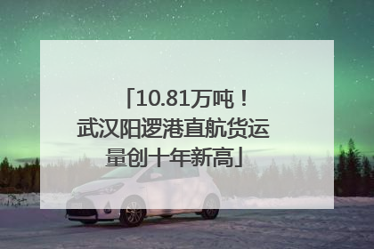 10.81万吨！武汉阳逻港直航货运量创十年新高