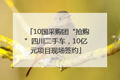 10国采购团“抢购”四川二手车，10亿元项目现场签约
