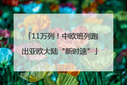 11万列！中欧班列跑出亚欧大陆“新时速”