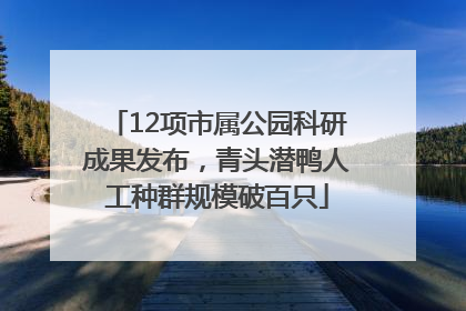 12项市属公园科研成果发布，青头潜鸭人工种群规模破百只