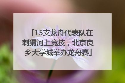 15支龙舟代表队在刺猬河上竞技，北京良乡大学城举办龙舟赛