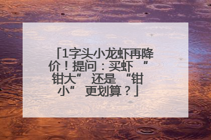 1字头小龙虾再降价！提问：买虾 “钳大” 还是 “钳小” 更划算？